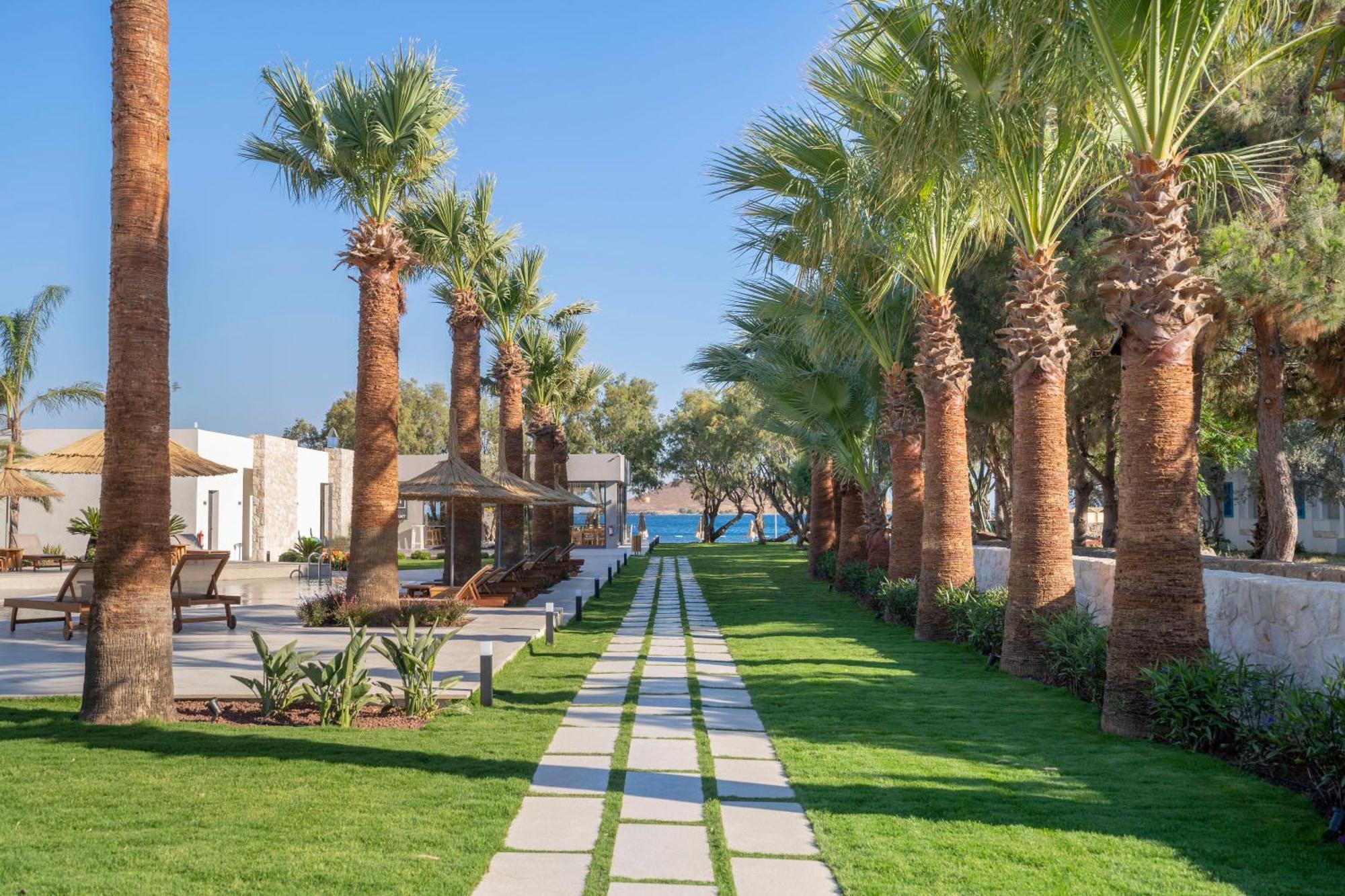 Regia Mare Beach Hotel & Spa Bodrum オータキャンツ エクステリア 写真